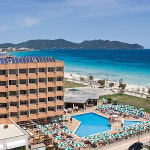 book here